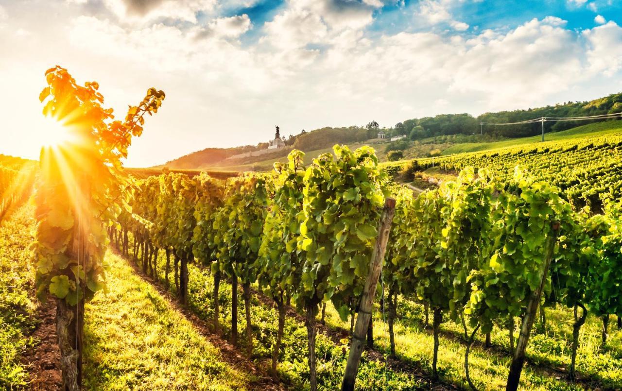 Fewo Zum Malerwinkel - Ruedesheim Rüdesheim am Rhein Exterior foto