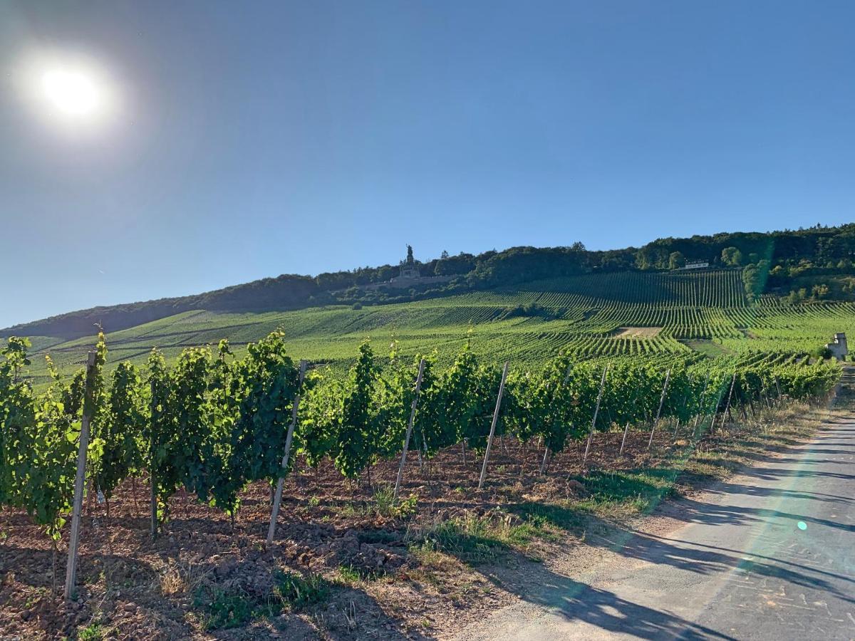 Fewo Zum Malerwinkel - Ruedesheim Rüdesheim am Rhein Exterior foto